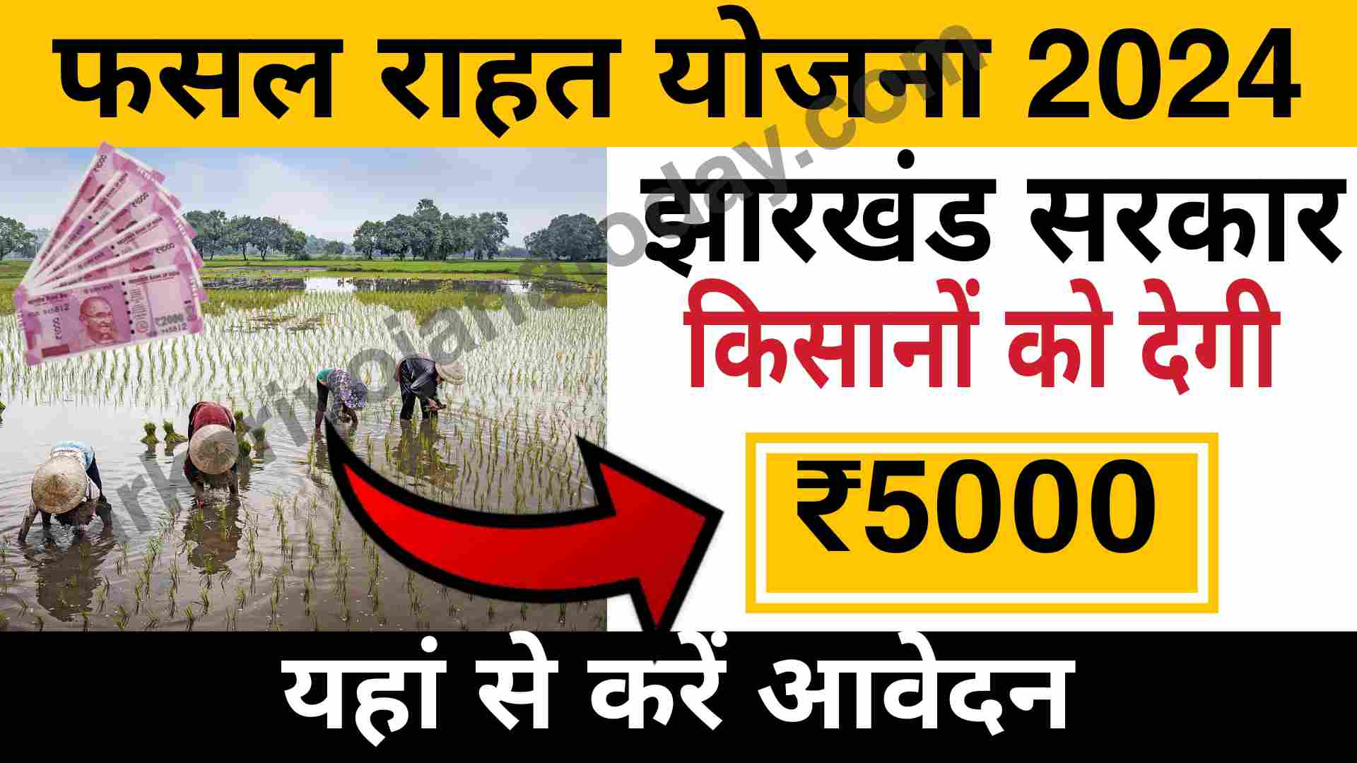 Jharkhand fasal Rahat Yojana status check bheja 24: किसानों को सरकार दे रही है ₹5000, जाने कैसे करें आवेदन 